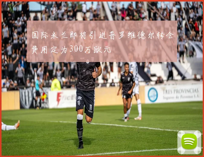 国际米兰即将引进普罗维德尔转会费用定为300万欧元
